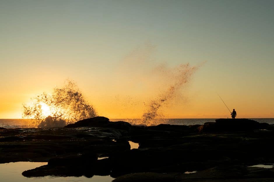 Best Surf Rods for Beginners: Length, Power, and Action